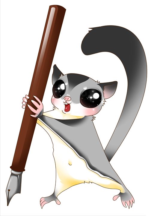 504x720 Sugar Glider