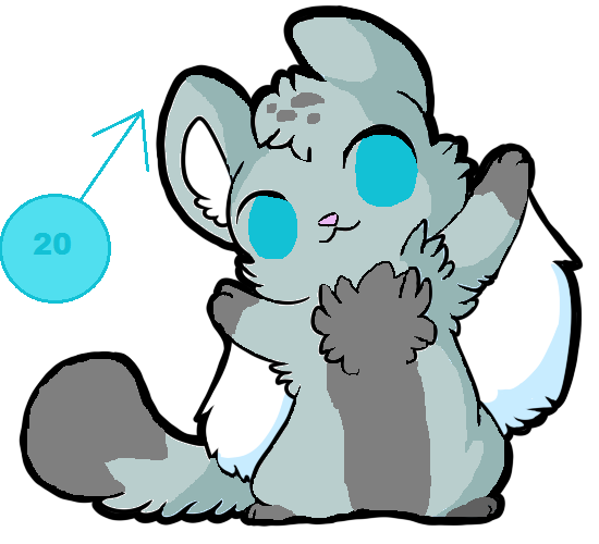 550x500 Sugar Glider Adoptable By Unicorn Potato