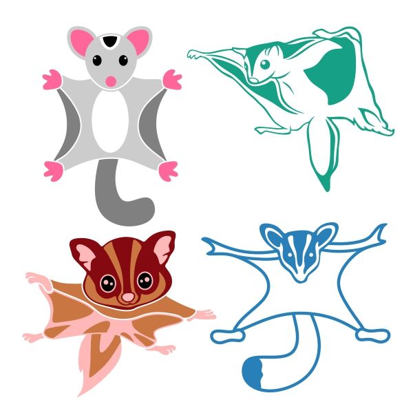 600x600 Sugar Glider Flying Squirrel Cuttable Design Cut File. Vector