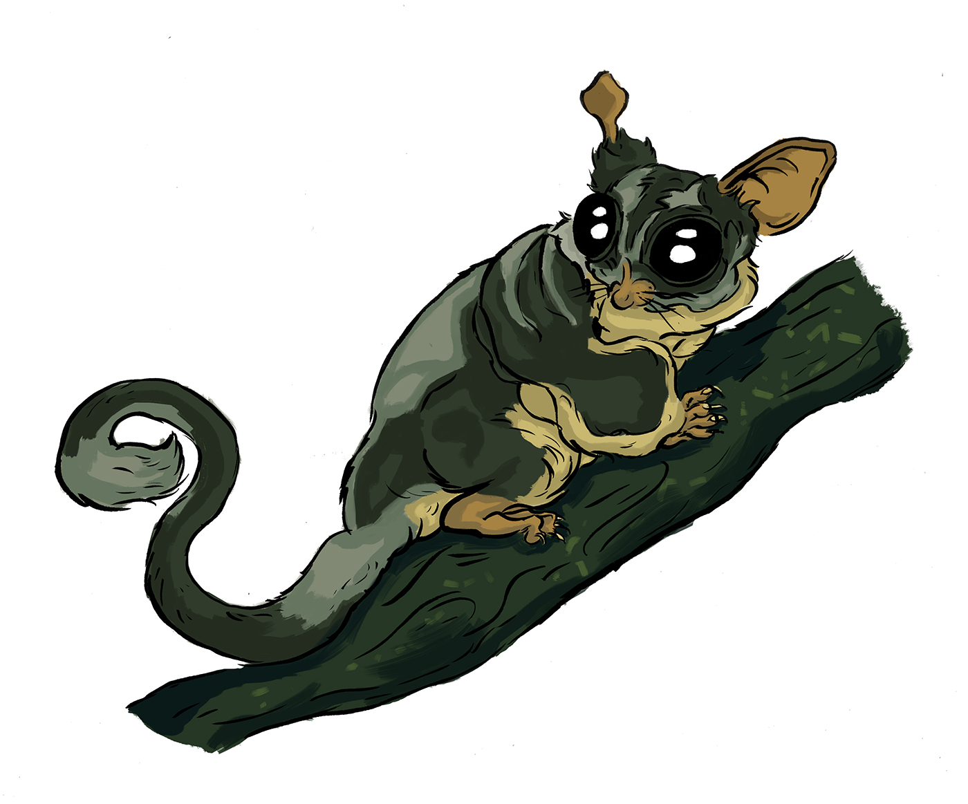1400x1163 Wip Character Design Sugar Glider On Behance