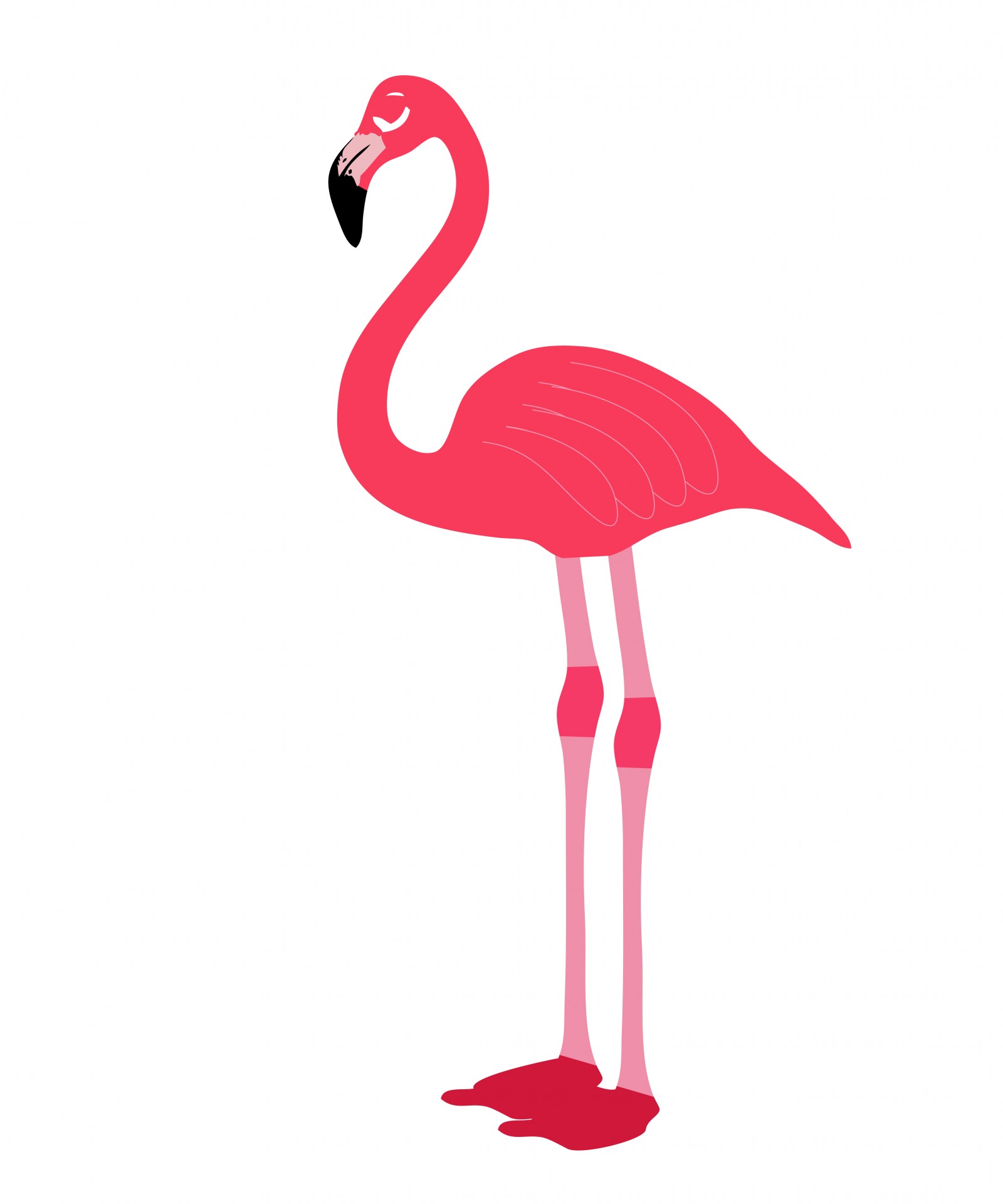 1600x1920 Top 84 Flamingo Clipart