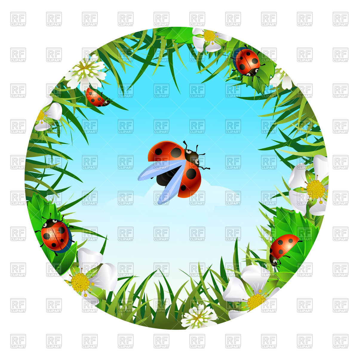 1179x1200 Insect And Summer Nature Icon. Ladybird In Circle Around Flowers