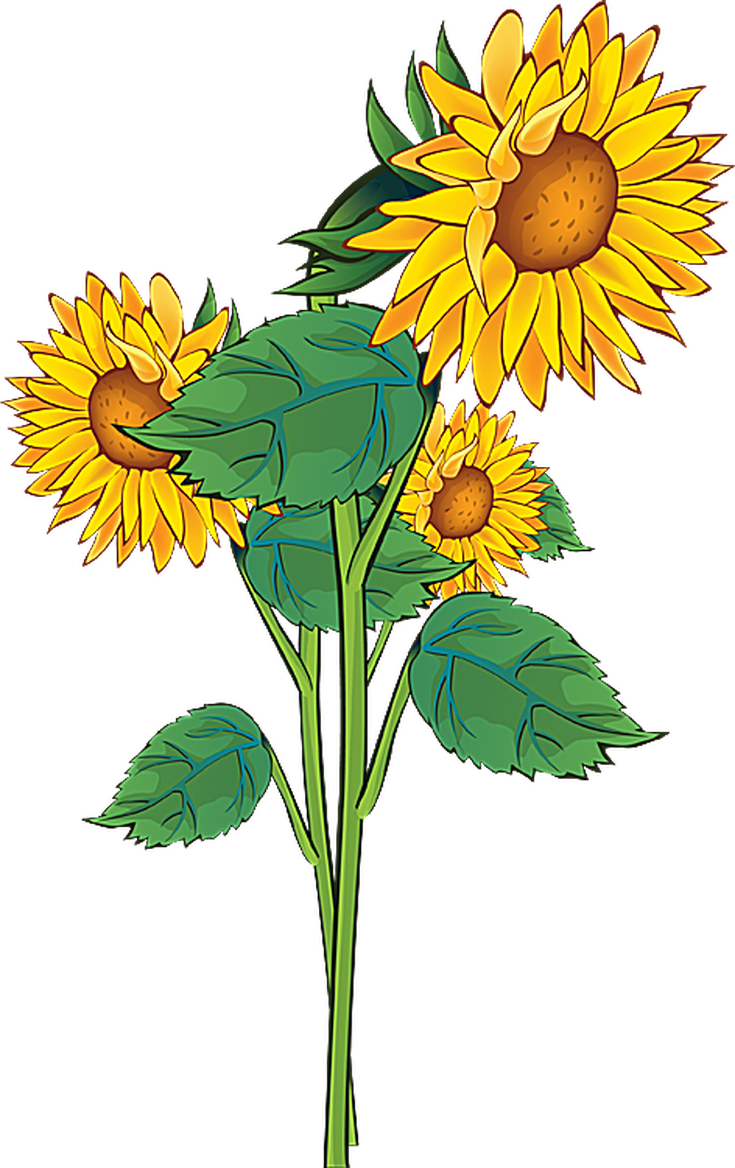 Summer Flowers Clipart at GetDrawings | Free download