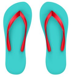 236x251 Transparent Green Beach Flip Flops Png Clipart Art