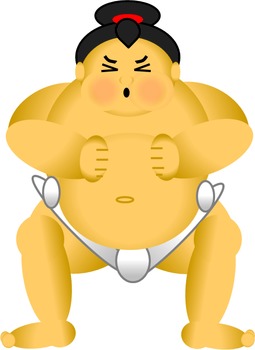 255x350 Sumo Teaching Resources Teachers Pay Teachers