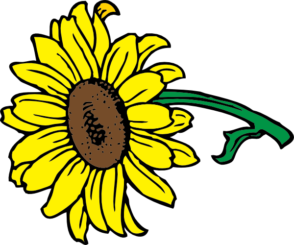 600x500 Sunflower Clip Art
