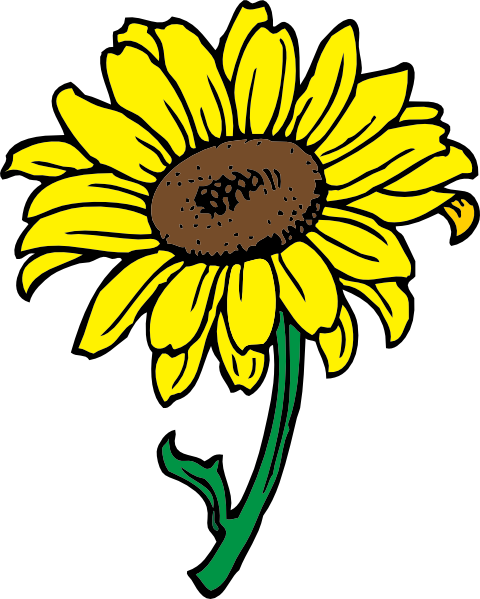 480x599 Sunflower Clip Art Clipart Panda