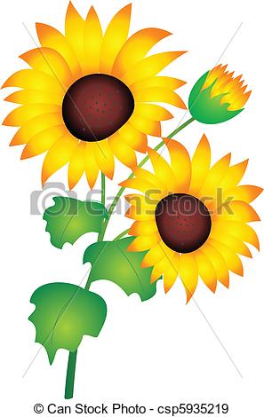 297x470 Sunflower Vector. Sunflower Isolated On White Background . Eps