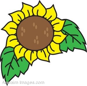 300x298 Clip Art Illustration Of A Sunflower