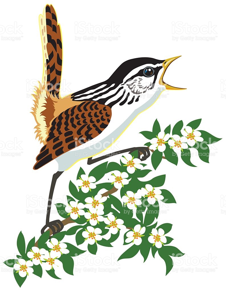 793x1024 Wildlife Clipart Songbird 4058685