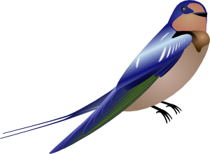 300x220 Bird Clip Art