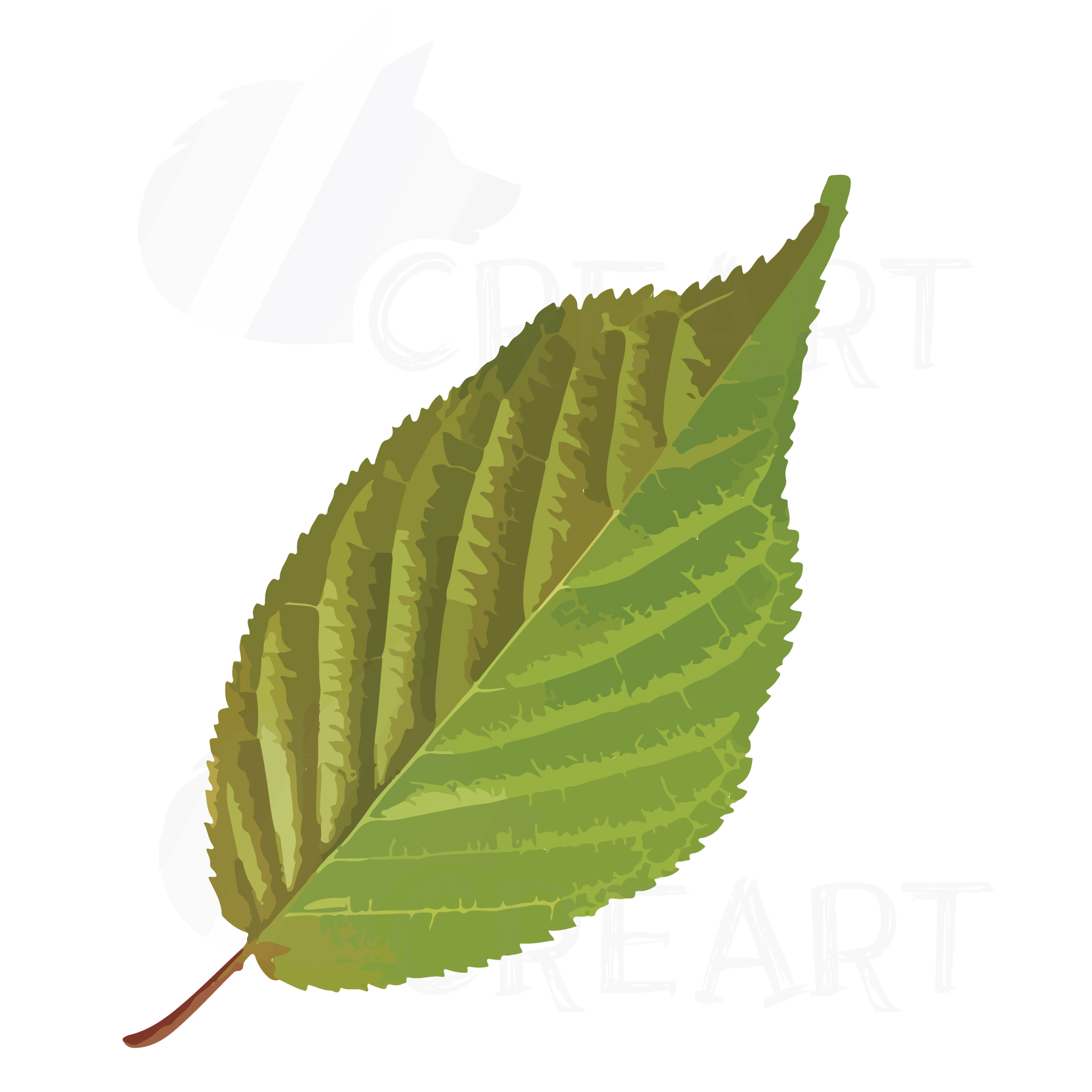 1667x1667 Watercolor Leaf Clip Art Pack. Eps, Png Design Bundles