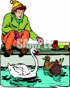 240x300 Clipart Picture A Boy Feeding Ducks And A Swan