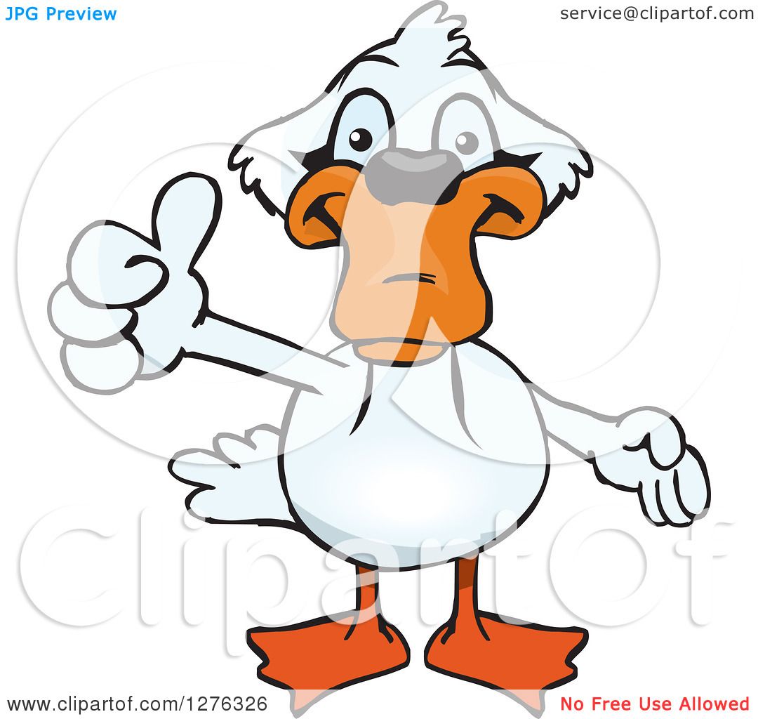 1080x1024 Clipart Of A Happy Mute Swan Holding A Thumb Up