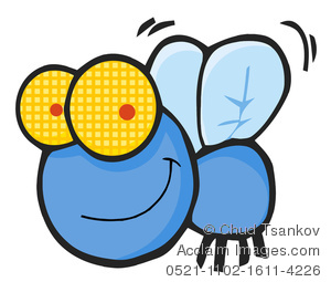 300x255 Top 91 Fly Clipart
