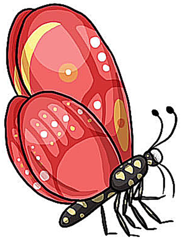 735x947 Download Beautiful Images Of Butterfly Clip Art For Free Clip