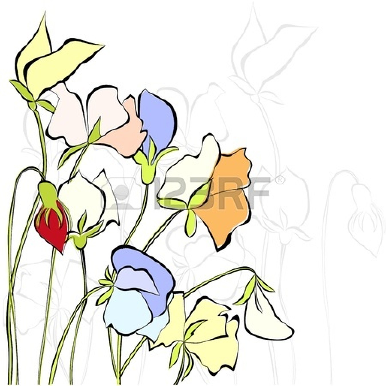 1350x1350 Sweet Pea Flower Clip Art Clipart Panda