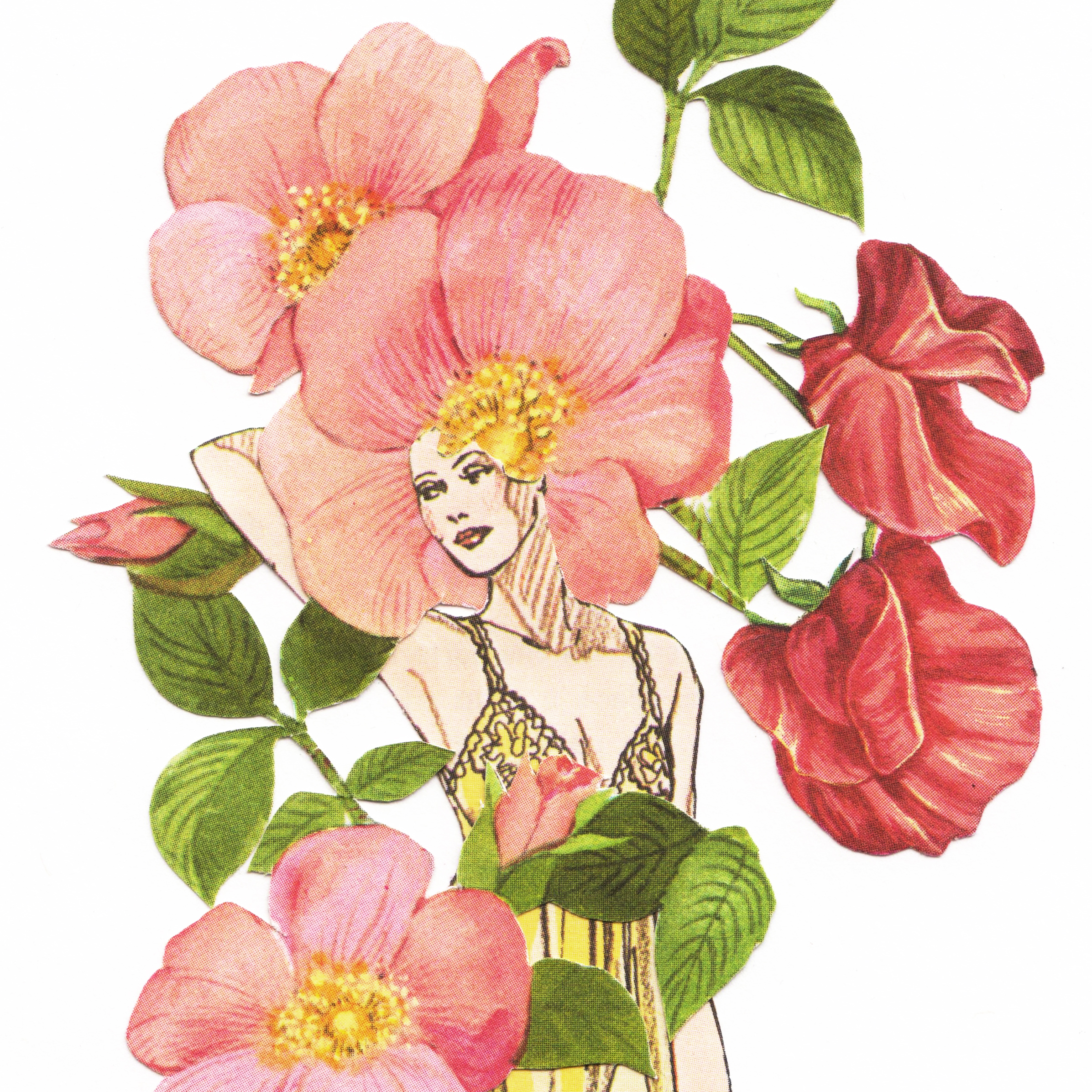 2393x2392 Sweet Pea Sydney Rose Art