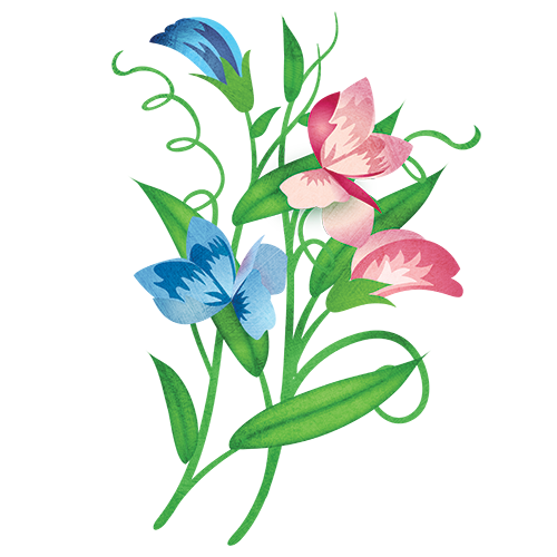 500x500 Sweet Pea Little Garden