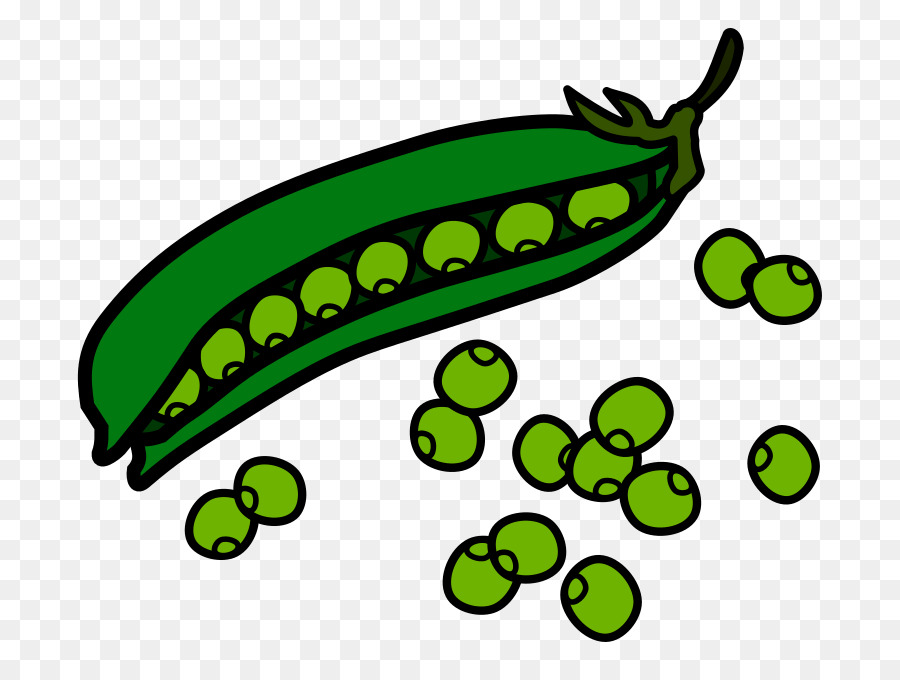 900x680 Sweet Pea Vine Clip Art