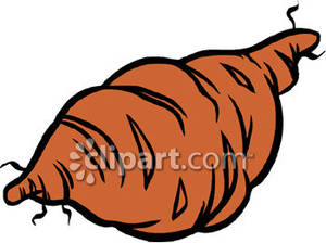 300x224 Sweet Potato Or Yam