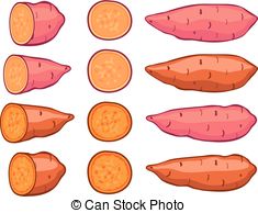 235x194 Sweet Potatoes Vector Clip Art Illustrations. 525 Sweet Potatoes