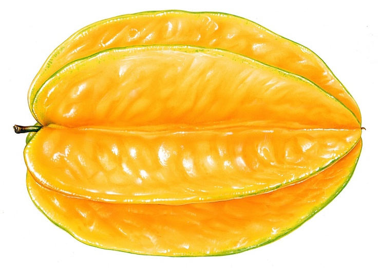 736x521 80 Best Cooking Clip Art Images On Baking Center, Clip