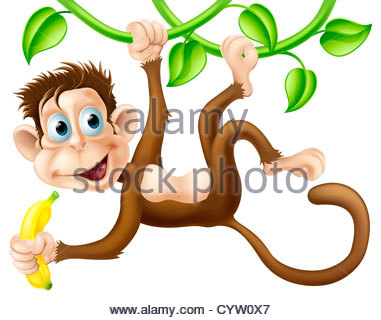 381x320 A Cute Monkey Swinging From Vines With A Banana In His Hand Stock