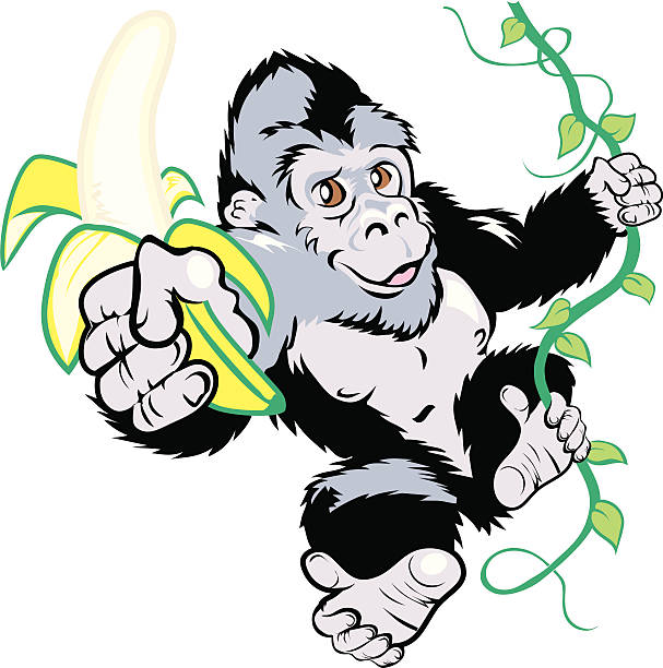 607x612 Royalty Free Vine Swing Clip Art Vector Images Illustrations