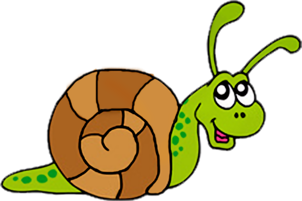 1051x700 Snail Clip Art 9225230