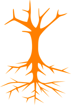 231x340 Symmetry Clipart Tree