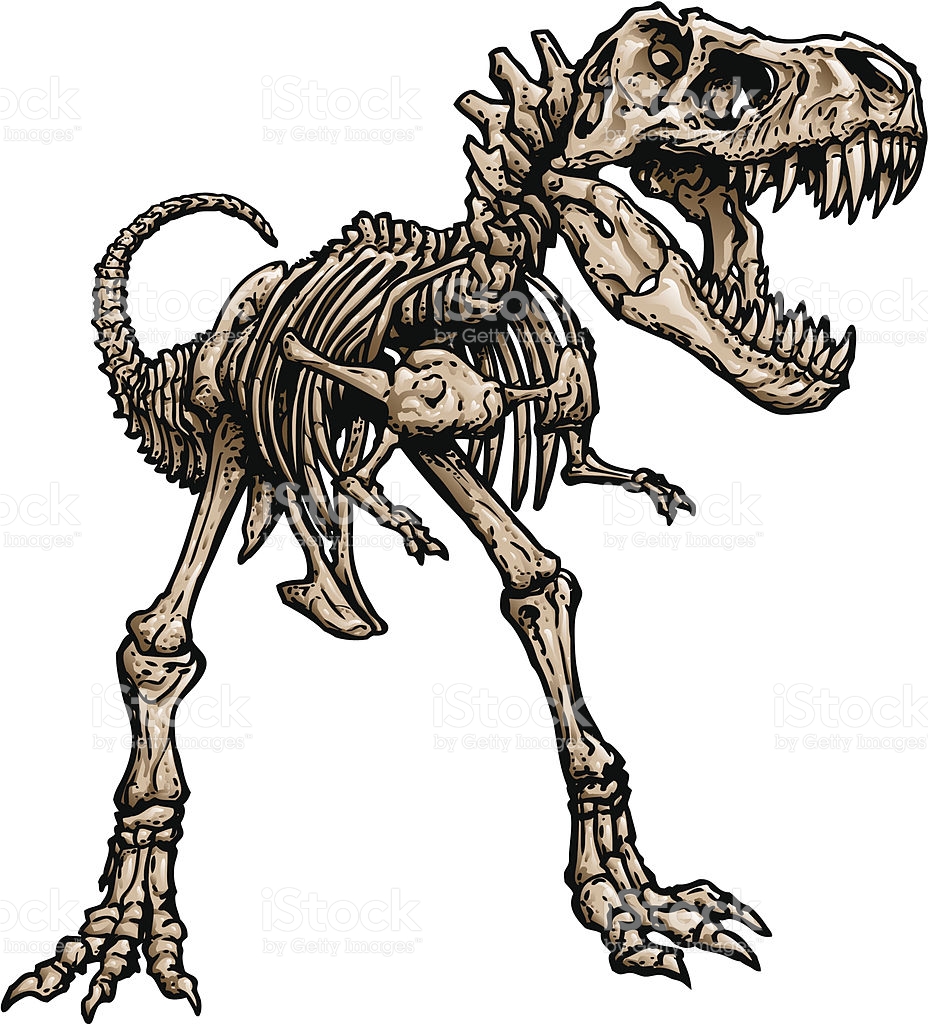 928x1024 T Rex Skull Clipart Amp T Rex Skull Clip Art Images