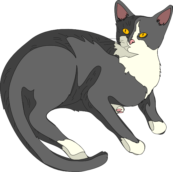 600x598 Gray Cat Clipart Png