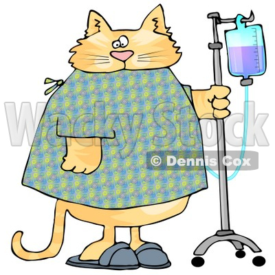 400x400 Orange Tabby Cat With An Iv Dispenser In A Hospital Clipart