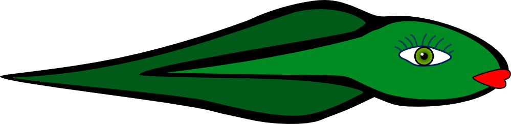 999x244 Clip Art Tetard Tadpole 2013