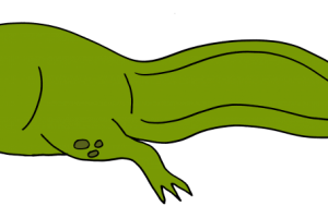 300x200 Tricycle Driver Clipart 8 Clipart Station