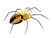 210x153 Free Spider Clipart