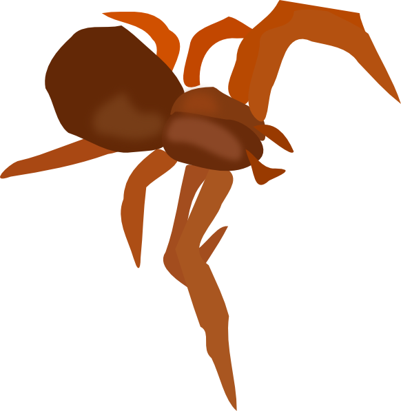 582x597 Spider Clip Art