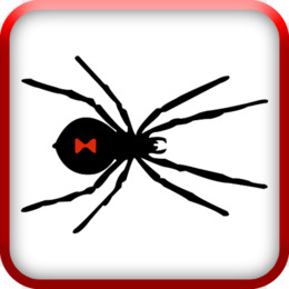 260x260 Spider Southern Black Widow Clip Art