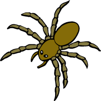 200x200 Tn Spiders Tarantula Crca Id 49862 Clipart Pictures