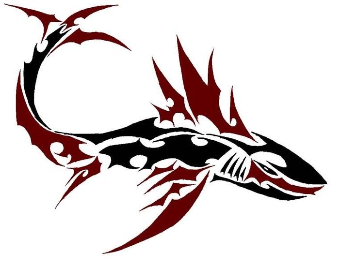 736x552 Tattoo Clipart Shark Free Collection Download And Share Tattoo