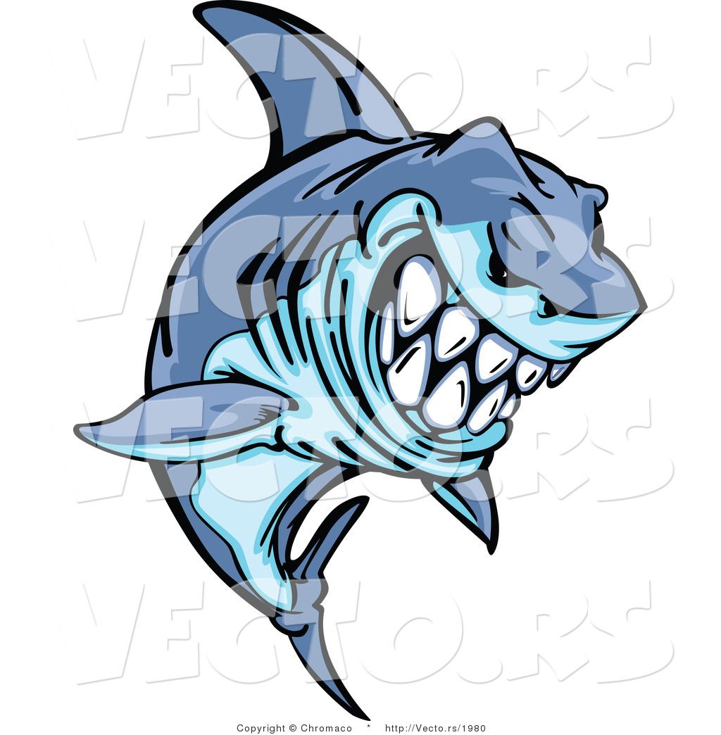 1024x1044 Tiger Shark Clip Art Clipart Panda