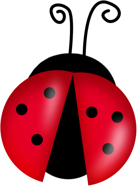 579x777 Classy Ladybug Clip Art Free Printable Lady Bug Google Search