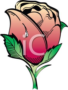 265x350 Rose Tattoo Design. Clip Art Clipart Panda