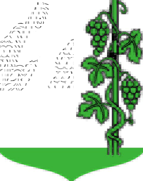 481x608 Grapes Clipart Climber