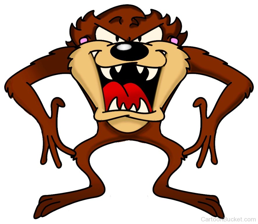 885x768 Taz The Cartoon