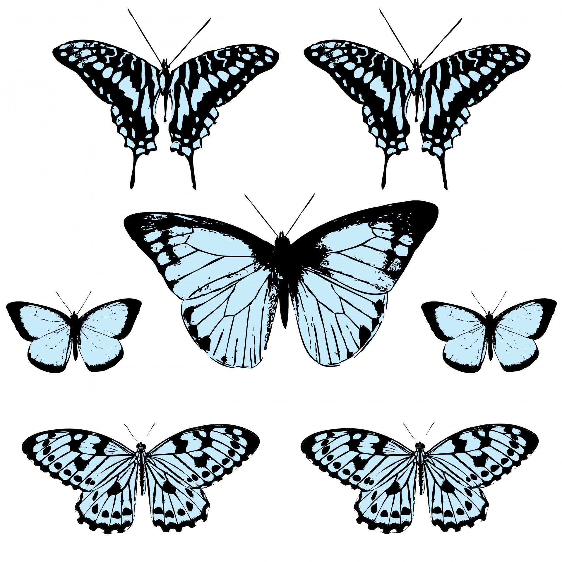 1920x1920 Clipart Public Domain