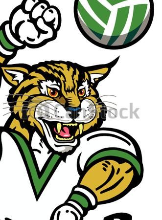 331x450 Vectors Of Bobcat Volleyball