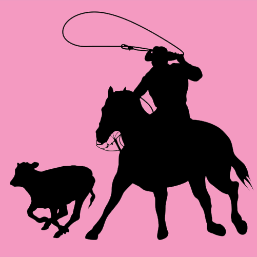 501x501 Rodeo Results