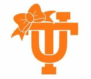 300x263 Tennessee Vols Clipart Free Images
